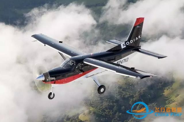 探尋Kodiak 100的多用途基因-5090