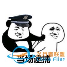 這也太剛了！為讓飛行模擬更真實，開發者購買戰斗機說明書遭逮捕-2917