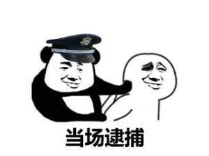 這也太剛了！為讓飛行模擬更真實，開發(fā)者購買戰(zhàn)斗機說明書遭逮捕