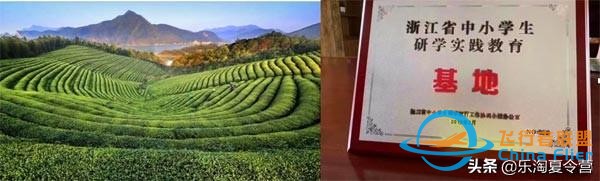 莫干山體驗航空的驚險，騎行的樂趣，自然的美妙，探險的收獲-1504