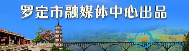 捷報！羅定學子在全國青少年模擬飛行錦標賽中獲12個獎項-9548