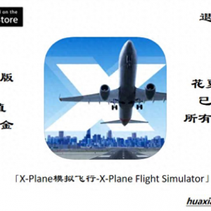 蘋果ios賬號(hào)游戲分享下載：專業(yè)模擬飛行-X-Plane-完整版解鎖飛機(jī)