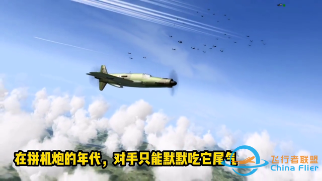 扭矩終結(jié)者！根治歪頭飛機(jī)，來(lái)看前拉后推的Do335箭式-9189