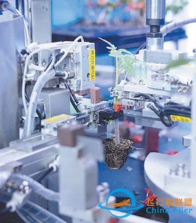 “數字未來”啥模樣？這個博覽會給你超酷體驗-5894